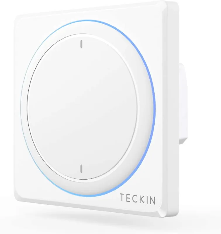 Teckin 2 Gang